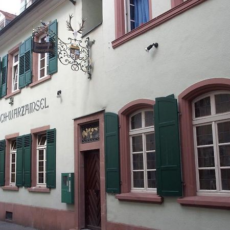 Weinstube Schwarzamsel Apartment Speyer Bagian luar foto