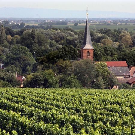 Weinstube Schwarzamsel Apartment Speyer Bagian luar foto