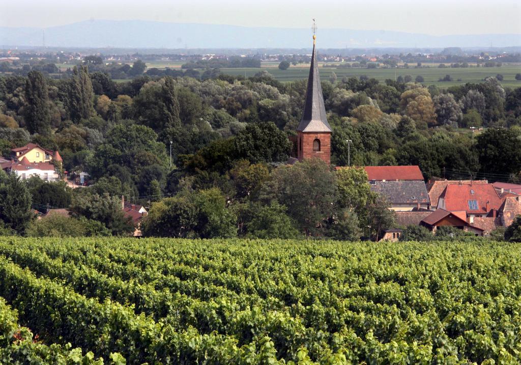 Weinstube Schwarzamsel Apartment Speyer Bagian luar foto