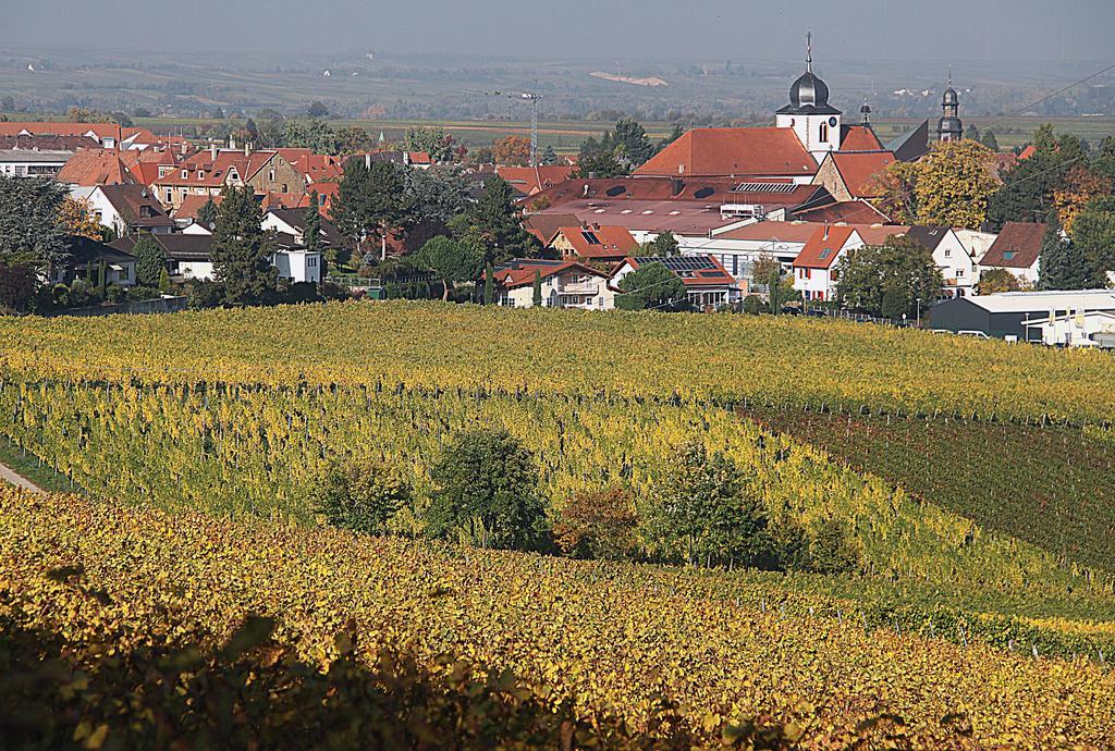 Weinstube Schwarzamsel Apartment Speyer Bagian luar foto
